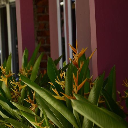 Baronda Guest House Sorong Dış mekan fotoğraf