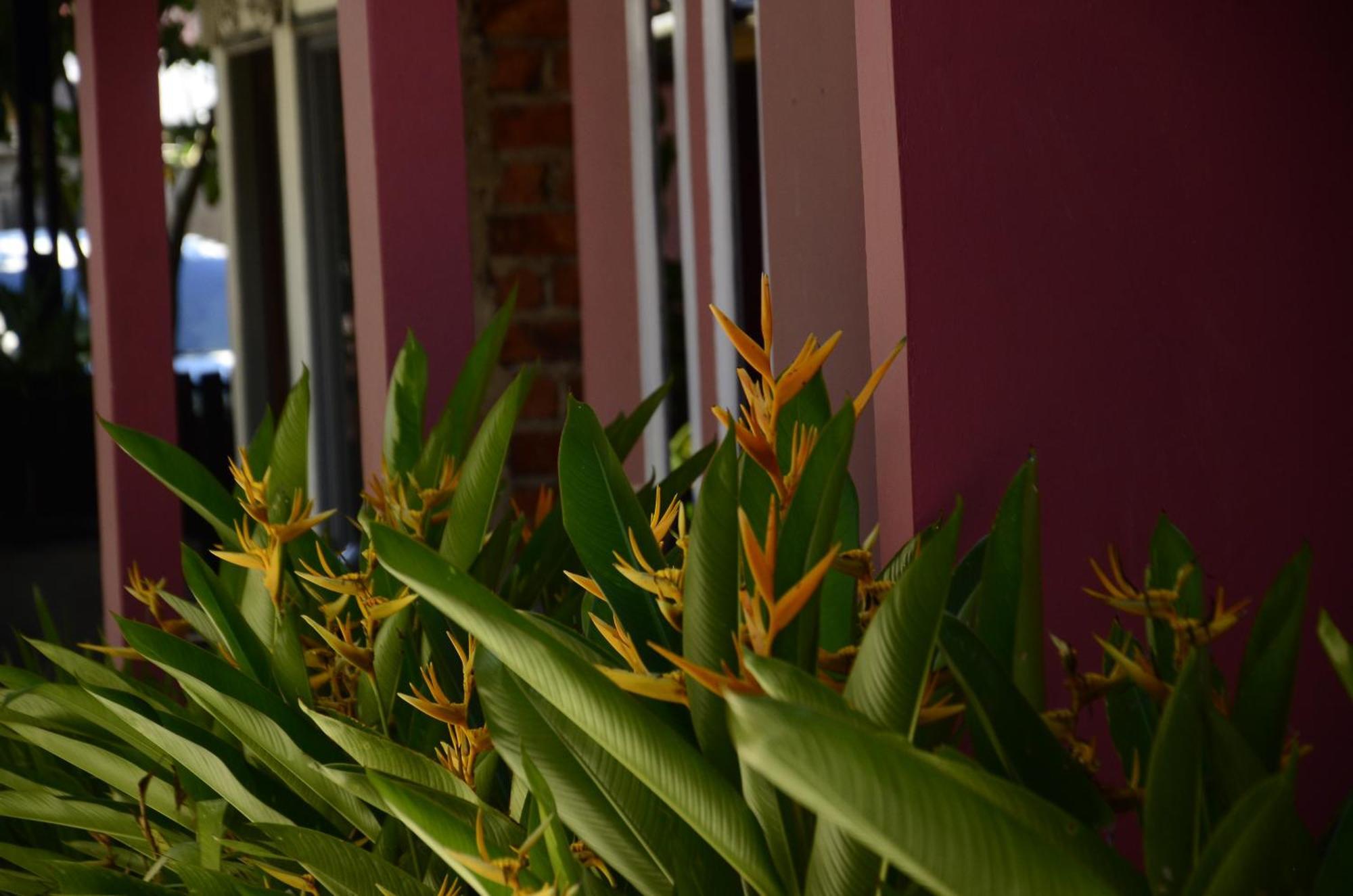 Baronda Guest House Sorong Dış mekan fotoğraf